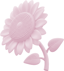 Image of a sunflower